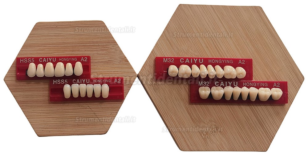 Protesi dentali in resina Caiyu Hongying (colore a tre strati) A1/A2/A3/A3.5/A4